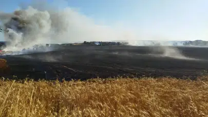 Batı Şeria'da saldırı: Ev basıldı, tarlalar kundaklandı!