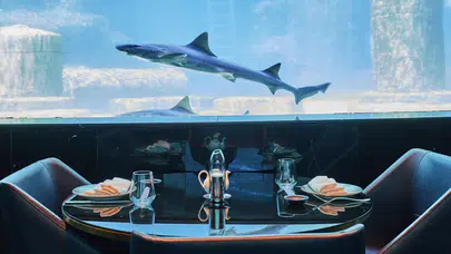 İstanbul'da deniz altı atmosferi gastronomiyle buluşuyor: Nemo Tersane İstanbul'da açılıyor