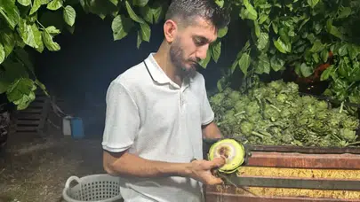 3 ayda servet kazandıran meslek: Saniyelerle yarışıp günde 2 bin adet soyuyorlar!