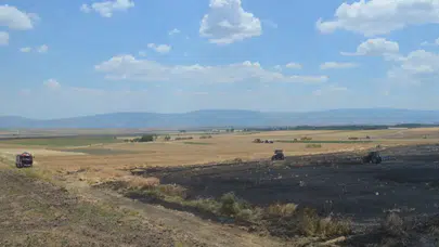 Amasya'da korkutan yangın: 40 dönüm buğday arazi kül oldu!