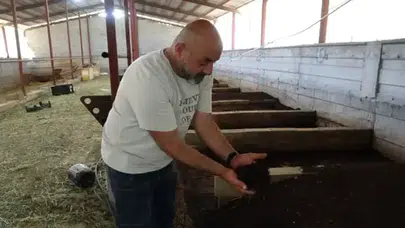 Bahçesinde başladı, tonlarca üretiyor: Evinin bahçesinde servet kapısı açtı!