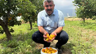 Mühendisi dinledi, hayatı değişti: 10 dönümlük araziden servet kazanıyor!