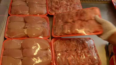 Beyaz et devlerine operasyon! 13 şirkete kayyım atandı