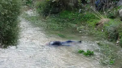 Bursa’da derede bulunan cesedin gizemi çözüldü! Kimliği belli oldu
