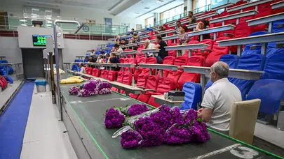 İklim avantajı Türkiye'nin elinde: Gerbera ve karanfilde küresel rekabet gücü!