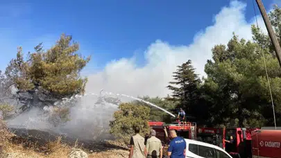 Gaziantep'te orman yangını kontrol altına alındı, çalışmalar sürüyor