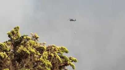Muğla'da seferberlik: Milas yangını Kontrol altına alındı mı?
