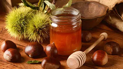 Kestane balının faydaları nelerdir? Zararları nedir, nasıl tüketilmeli, kimler yememeli, hangi hastalıklara iyi gelir?