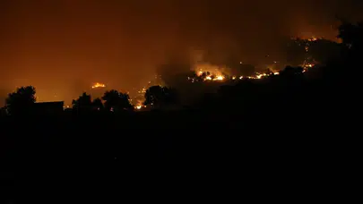 Aydın Çine'de orman yangını: Alevlere karşı havadan ve karadan canla başla mücadele sürüyor