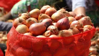Fiyatı 4 katına çıktı! Soğan krizine karşı gümrük vergisine 31 ağustos ayarı