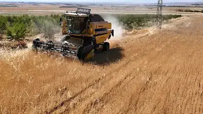 Tarım ÜFE verileri açıklandı: Tek yıllık bitkisel ürünler üreticinin yüzünü güldürdü