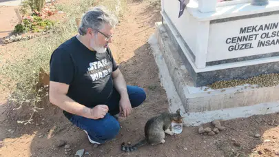 Ölüm bile onları ayıramadı: Vefalı kedi aylardır sahibinin mezarı başında nöbette!