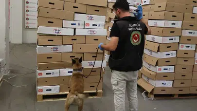 Kapıkule sınır kapısı'nda rekor operasyon: İki TIR'da 1 tonu aşan uyuşturucu yakalandı