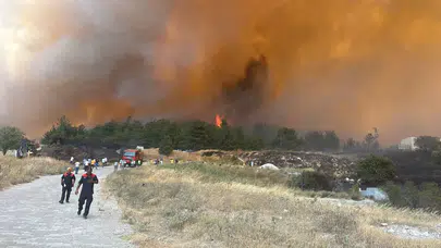 Kızılcıkdere'de korkutan yangın: 60 dekar tarım arazisi küle döndü