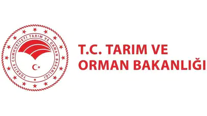 Tarım Bakanlığı büyük istihdam hamlesi başlattı: Hangi branştan kaç kişi alınacak?