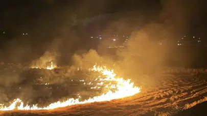 Jandarma affetmedi: Şanlıurfa'da anız yakan 303 kişiye rekor ceza yağdı!