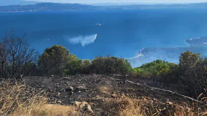 Yalova'daki orman yangını kontrol altında! Soğutma çalışmaları devam ediyor