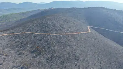 Muğla Milas’ta yangın felaketi: Kül olan ormanlar dronla görüntülendi