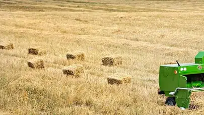 Orman yangınları riskine karşı Kırklareli Valiliğinden kritik karar