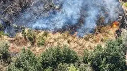 Antalya'daki orman yangınında ekipler kontrolü büyük ölçüde sağladı