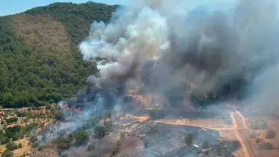 Fethiye'de orman yangını! Müdahaleler sürüyor