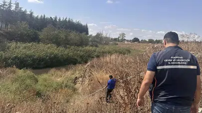 Tekirdağ'da çevreyi kirleten işletmelere 14 milyon liralık ceza