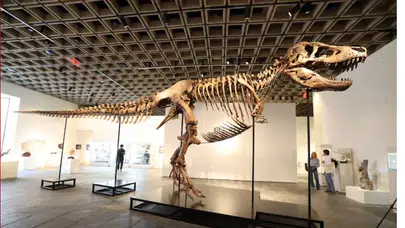 Tarihin en büyük satışı mı, bilimin sonu mu? Rekortmen T. Rex 'Gus' açık artırmaya çıkıyor!