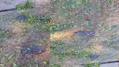 Trabzon'da patlayıcı yüklü Ukrayna İHA'sı ağaca çarparak infilak etti