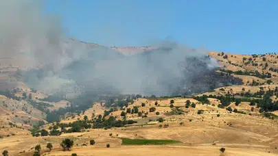 Muğla ve Diyarbakır’da alevlerle kritik mücadele: Ekipler teyakkuzda!