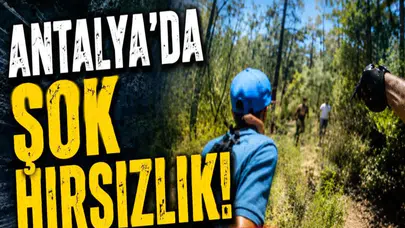 Antalya'da motosiklet hırsızlığı şüphelileri güvenlik kameralarıyla tespit edildi
