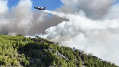 Anız yakanlar ve piknikçiler dikkat: Hapis cezası kapıda!