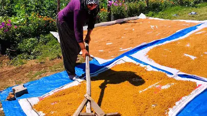 Tarladan sofraya zahmetli yolculuk: Kahramanmaraşlı kadınlardan kışlık mesaisi