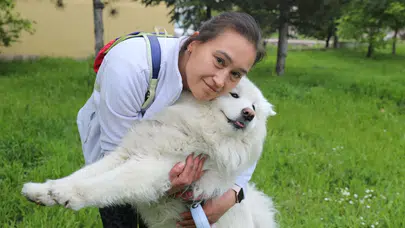 Edirne'de Gofret davasında karar: Sigorta şirketine tazminat yükümlülüğü