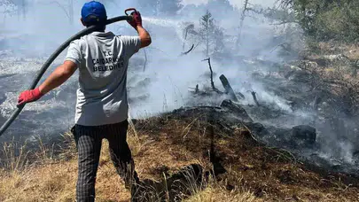 Kütahya Çavdarhisar'da orman yangını: Havadan ve karadan müdahale sürüyor
