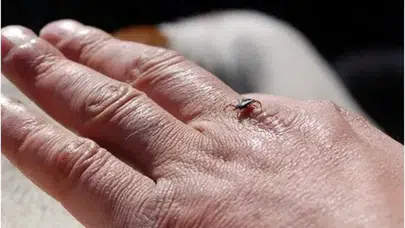 Keneyi kendi çıkarmıştı... Tokat'tan Sivas'a uzanan acı yolculuk ölümle bitti!