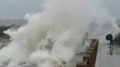 Tayfunun ardından Çin'in deniz çiftlikleri yeniden canlandı