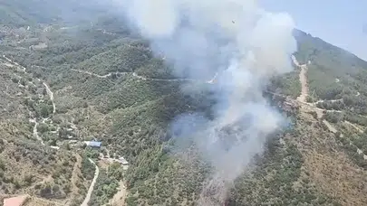 İzmir ve Kütahya’da orman yangını: Havadan ve karadan müdahale başladı!