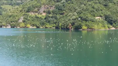 Görenler İsviçre sanıyor ama burası kocaeli! işte marmara’nın saklı cenneti...