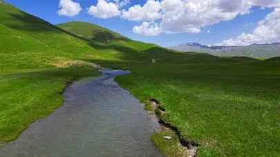 Faraşin Yaylası'nda bal hasadı öncesi yüksek verim beklentisi