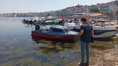 Yalova ve Antalya'da çevre skandalı: Milyonluk cezalar kesildi