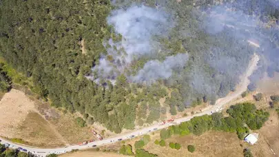 Bolu'da orman yangını kontrol altına alındı, soğutma sürüyor