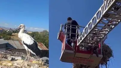 Elazığ'da ayağına ip dolanan leylek itfaiye ekiplerince kurtarıldı