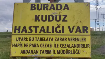 Büyükbaş hayvanda virüs tespit edildi, o mahalleye giriş ve çıkışlar kapatıldı