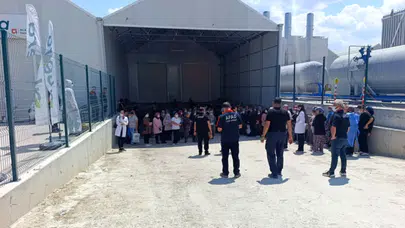 Domates serasında ilaçlama faciası: Onlarca çalışan fenalaştı!