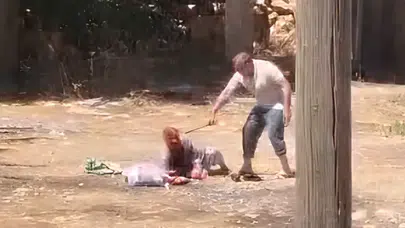 İsviçre'de eşini boğmuştu! Şanlıurfa'da da annesine dehşeti yaşattı