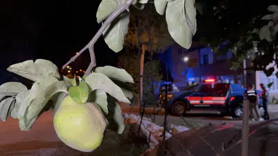 Ayva ağacı kavgası cinayetle bitti! Samsun'da kanlı arazi hesaplaşması