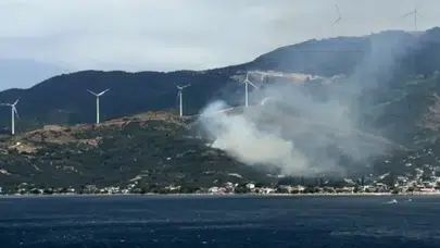 Balıkesir'deki yangının nedeni belli oldu! Şüpheli gözaltında