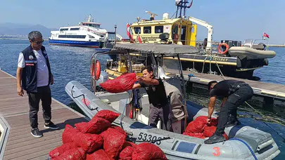 İzmir'de kaçak midye operasyonu: 560 kilo midye denize bırakıldı