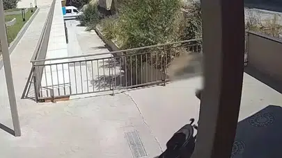 İstanbul'da uyuşturucu operasyonu: Pusetteki bebeği zula yaptılar