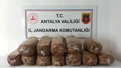 Antalya'da jandarmadan kaçak tütün operasyonu: 785 kilo ele geçirildi